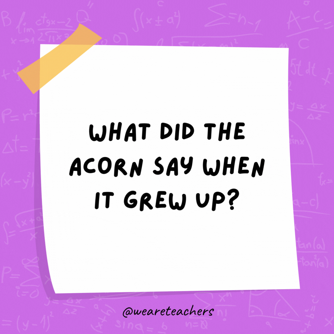 What did the acorn say when it grew up? Ge-om-e-try! (Gee, I’m a tree!) What did the acorn say when it grew up? Ge-om-e-try! (Gee, I'm a tree!)- math jokes
