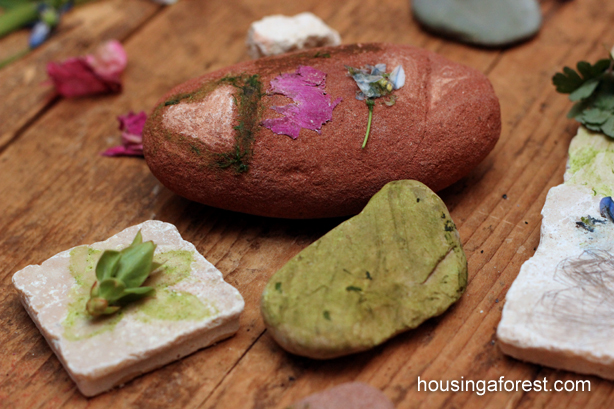 Nature Prints Different color rocks with leaf markings and other etchings