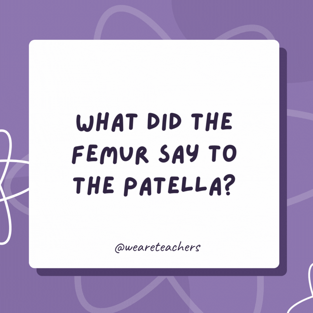 What did the femur say to the patella? “I kneed you.” What did the femur say to the patella?