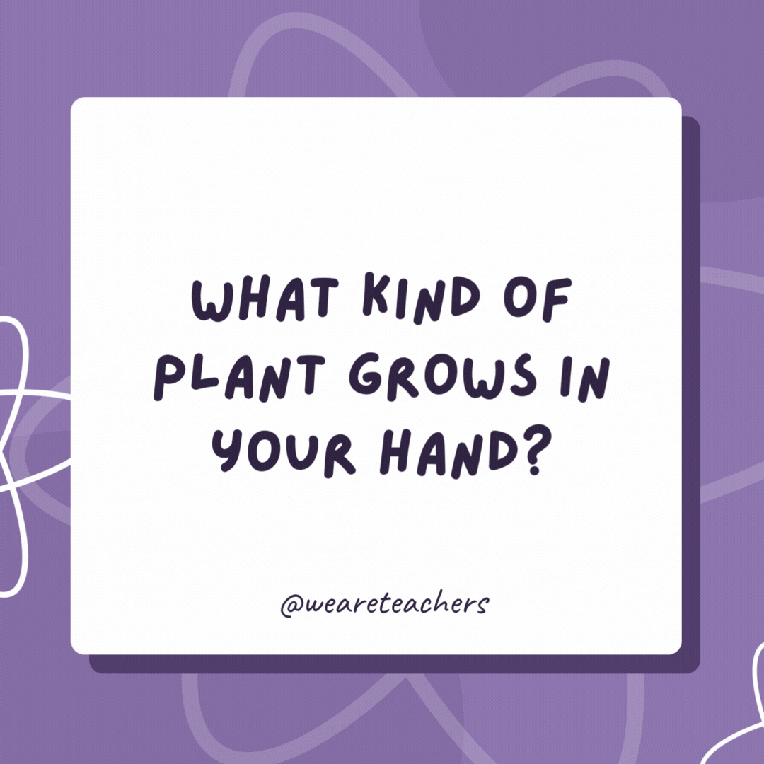 What kind of plant grows in your hand? A palm tree. What kind of plant grows in your hand?
A palm tree.