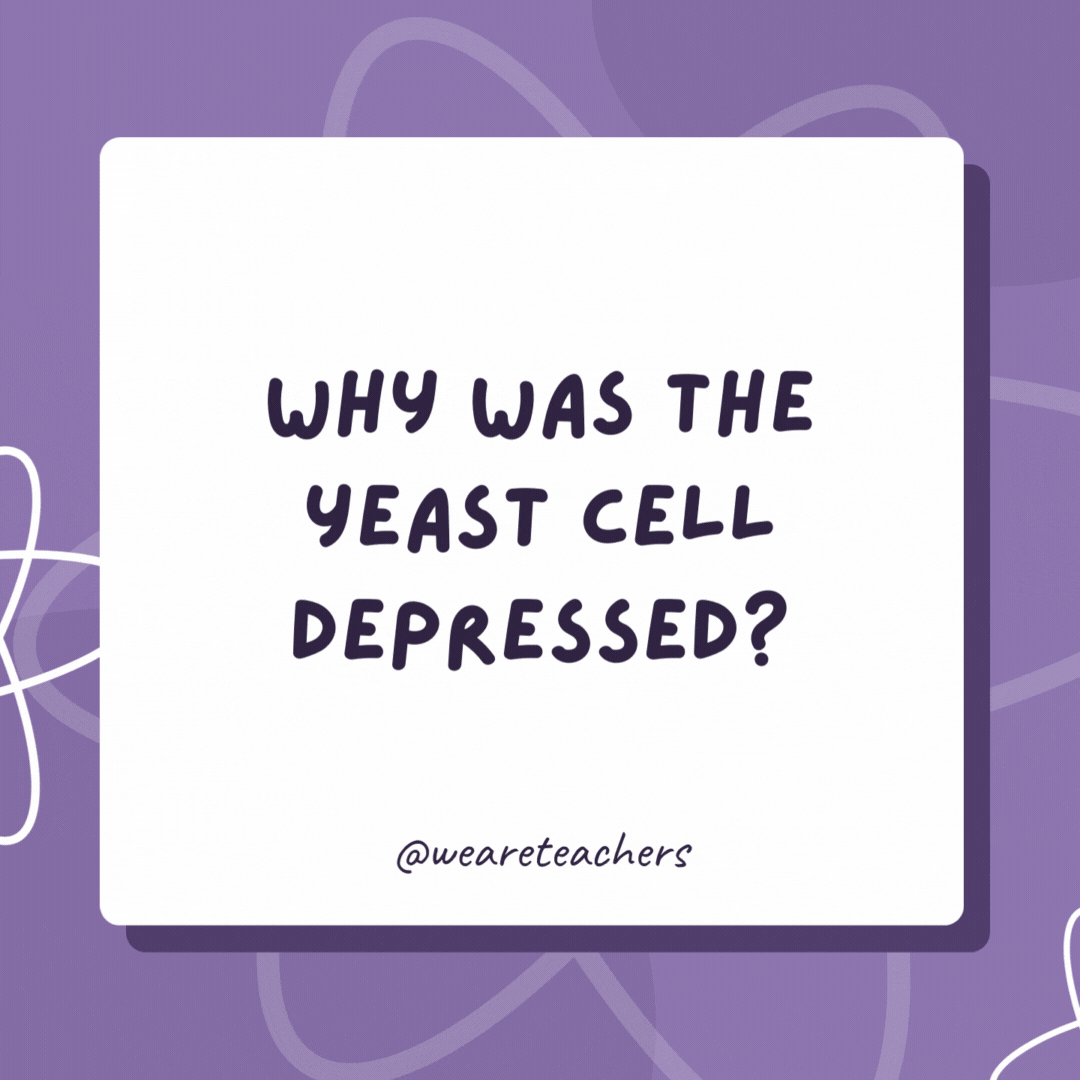 Why was the yeast cell depressed? Her parents just split. Why was the yeast cell depressed?
Her parents just split.