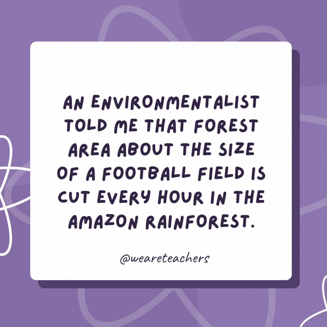 An environmentalist told me that forest area about the size of a football field is cut every hour in the Amazon rainforest. No wonder Brazil is so good at football. An environmentalist told me that forest area about the size of a football field is cut every hour in the Amazon rainforest.
No wonder Brazil is so good at football.