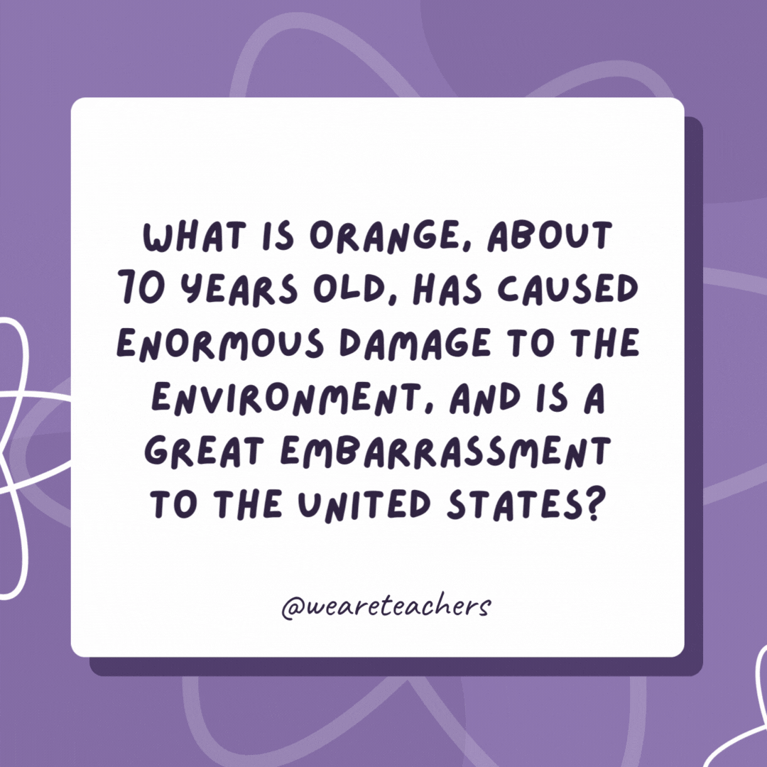 What is orange, about 70 years old, has caused enormous damage to the environment, and is a great embarrassment to the United States? Agent orange. (What did you think I was talking about?!) What is orange, about 70 years old, has caused enormous damage to the environment, and is a great embarrassment to the United States?
Agent orange. (What did you think I was talking about?!)