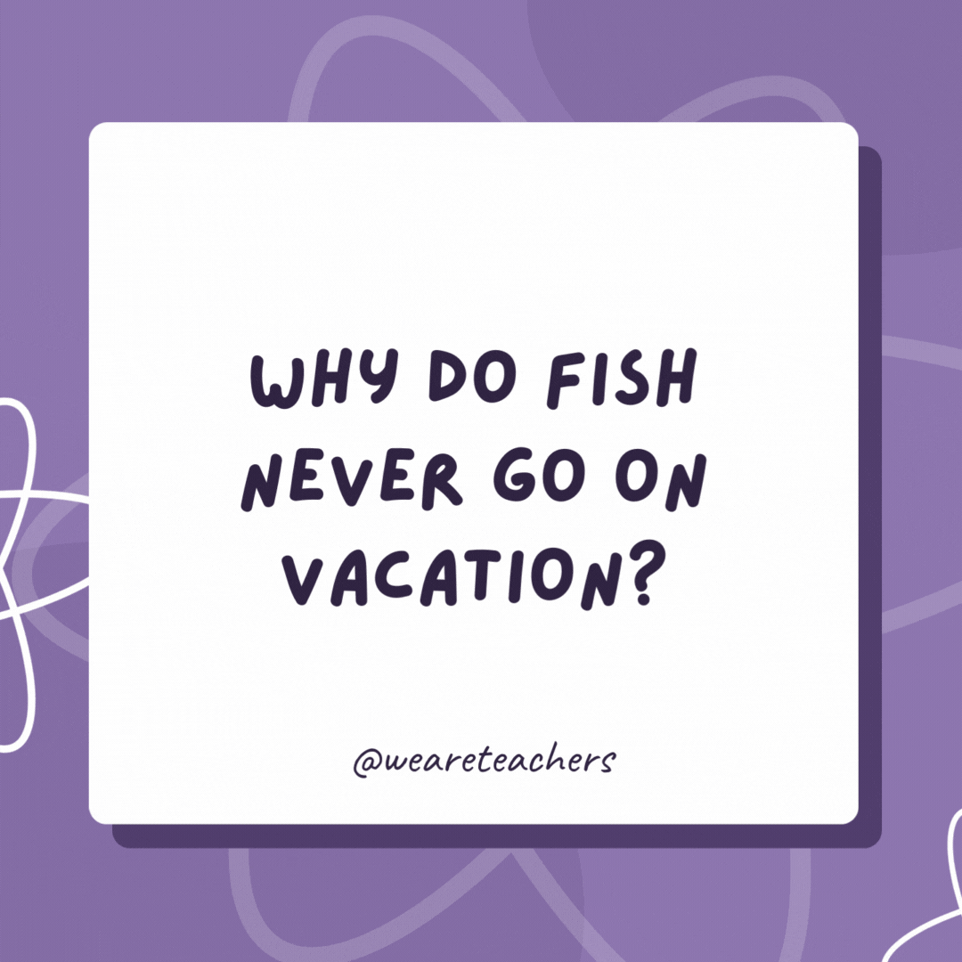 Why do fish never go on vacation? Because they are always in school. Why do fish never go on vacation?
Because they are always in school.- biology jokes