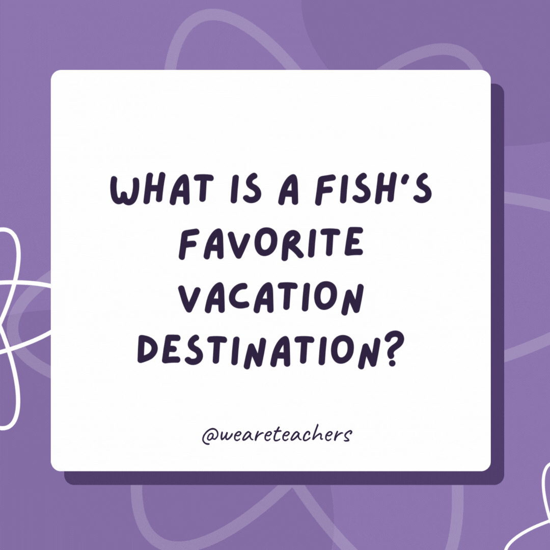 What is a fish’s favorite vacation destination? Finland. What is a fish’s favorite vacation destination?
Finland.