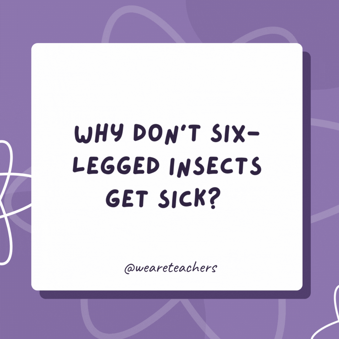 Why don’t six-legged insects get sick? They have strong anty-bodies! Why don’t six-legged insects get sick?
They have strong anty-bodies!