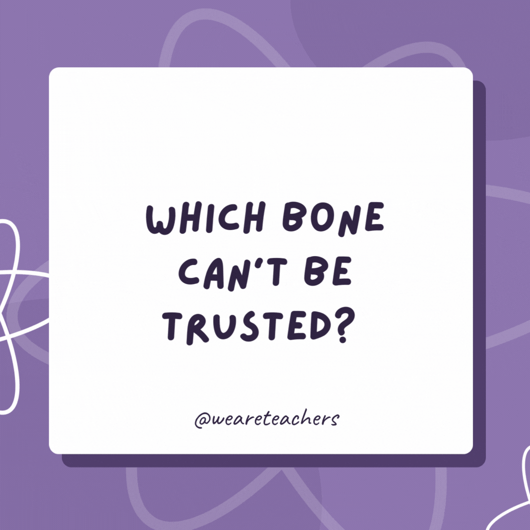 Which bone can’t be trusted? The fib-ula. Which bone can’t be trusted?
The fib-ula.