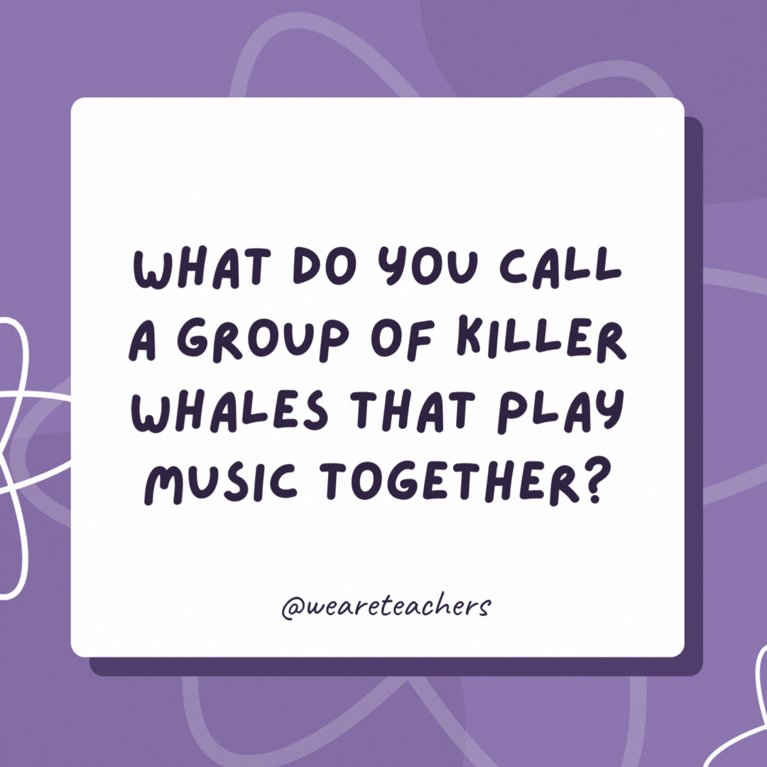 What do you call a group of killer whales that play music together? An orca-stra! What do you call a group of killer whales that play music together?
An orca-stra!
