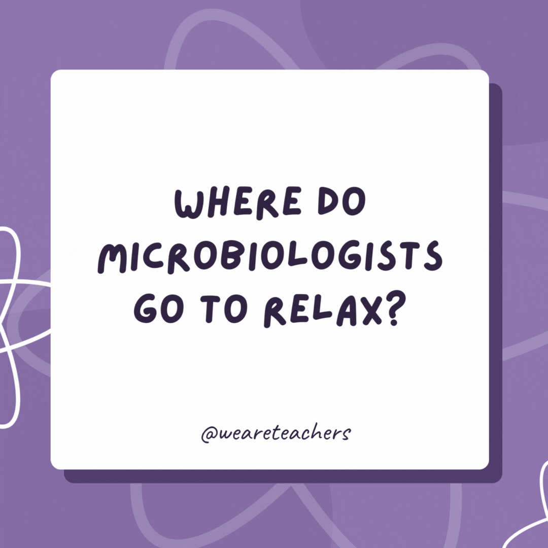 Where do microbiologists go to relax? Places of high culture. Where do microbiologists go to relax?
Places of high culture.