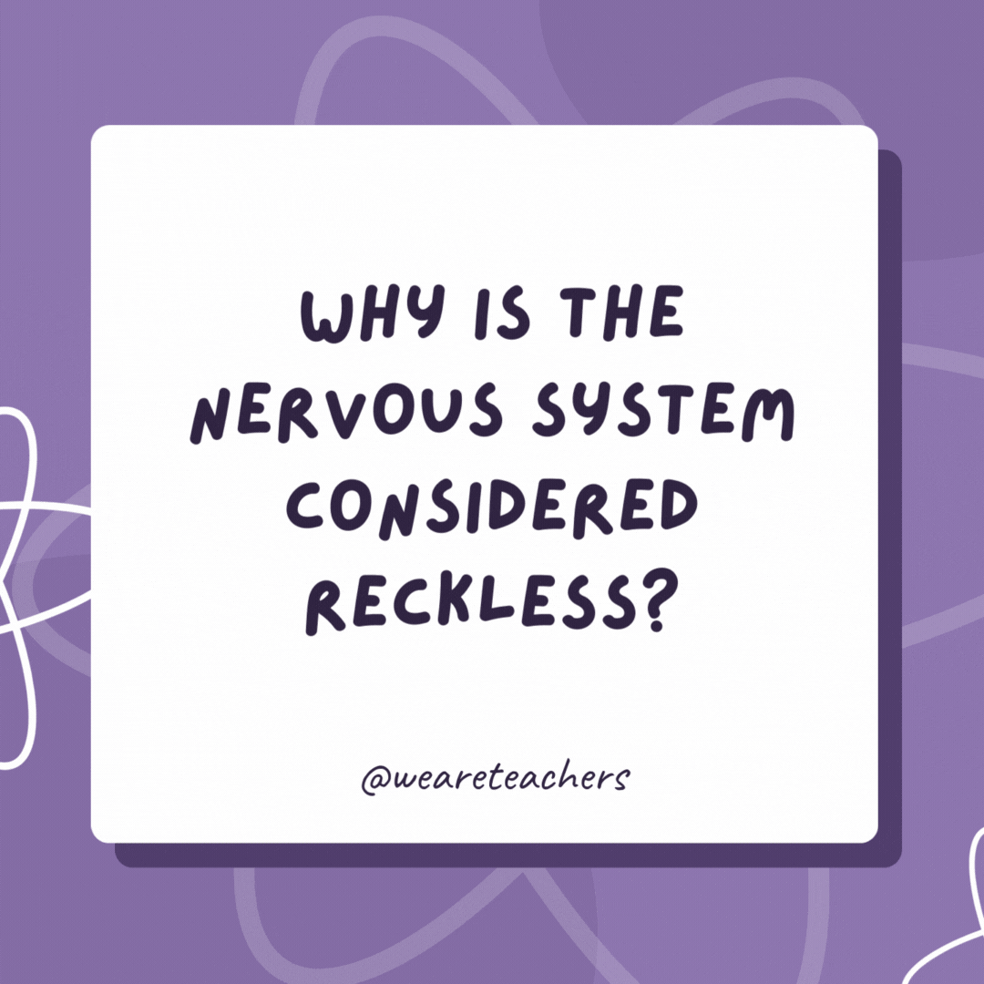 Why is the nervous system considered reckless? Because it does everything on impulse. Why is the nervous system considered reckless?
Because it does everything on impulse.