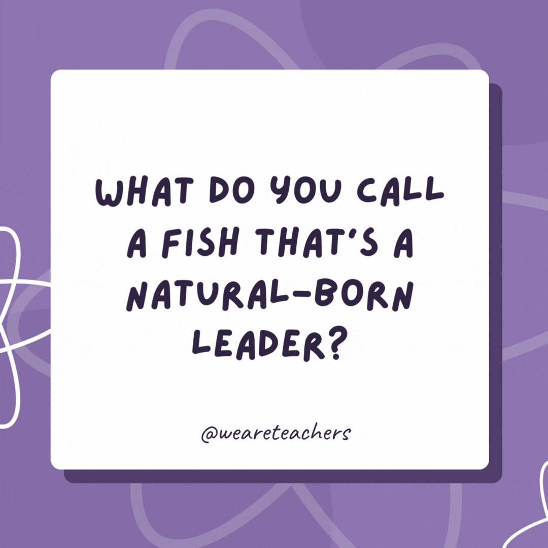 What do you call a fish that’s a natural-born leader? A school principal. What do you call a fish that’s a natural-born leader?
A school principal.- biology jokes