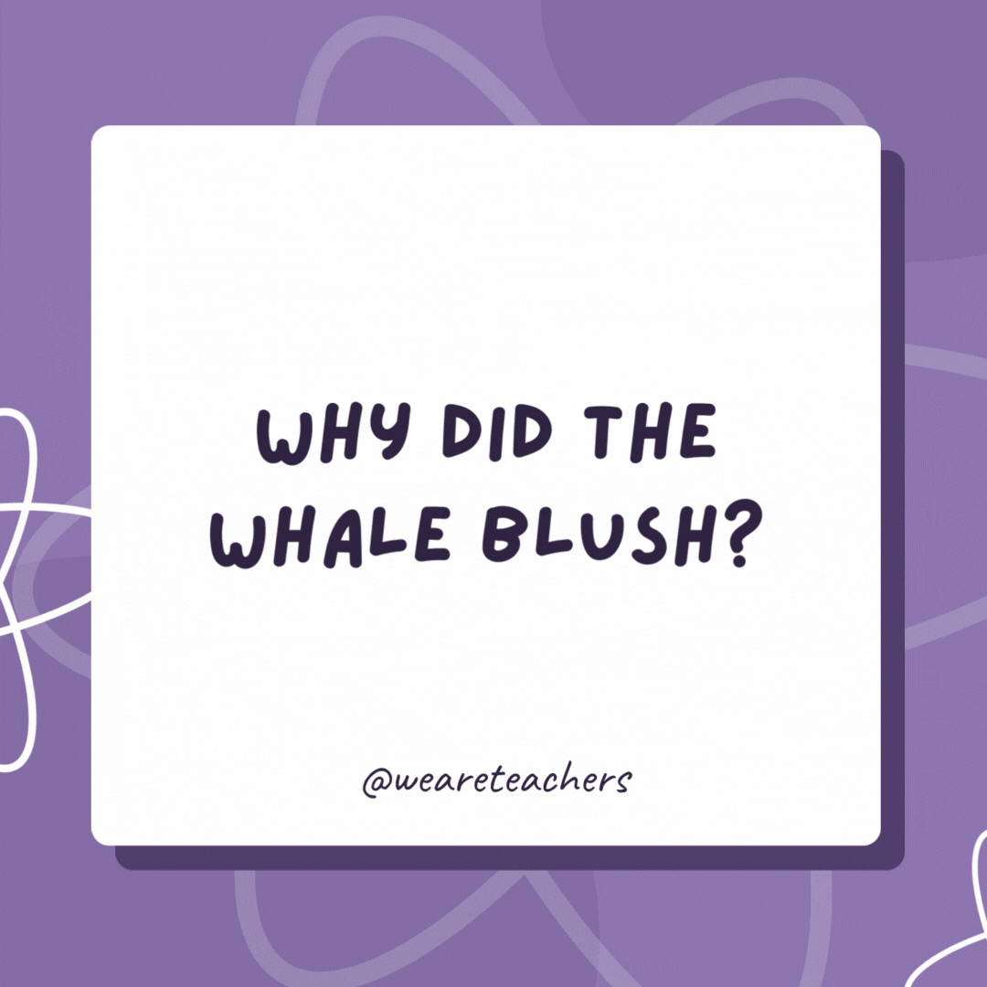 Why did the whale blush? Because it saw the ocean’s bottom! Why did the whale blush?
Because it saw the ocean’s bottom!