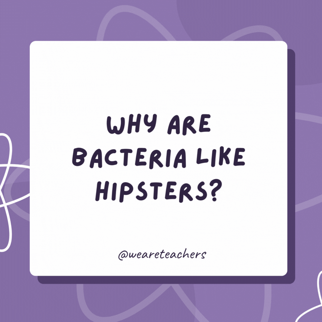 Why are bacteria like hipsters? They were on Earth long before it was cool. Why are bacteria like hipsters?
They were on Earth long before it was cool.