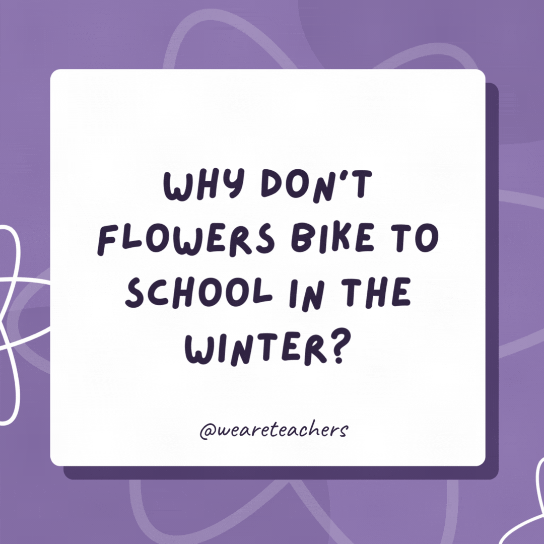 Why don’t flowers bike to school in the winter? They lose all their petals. Why don’t flowers bike to school in the winter?
They lose all their petals.