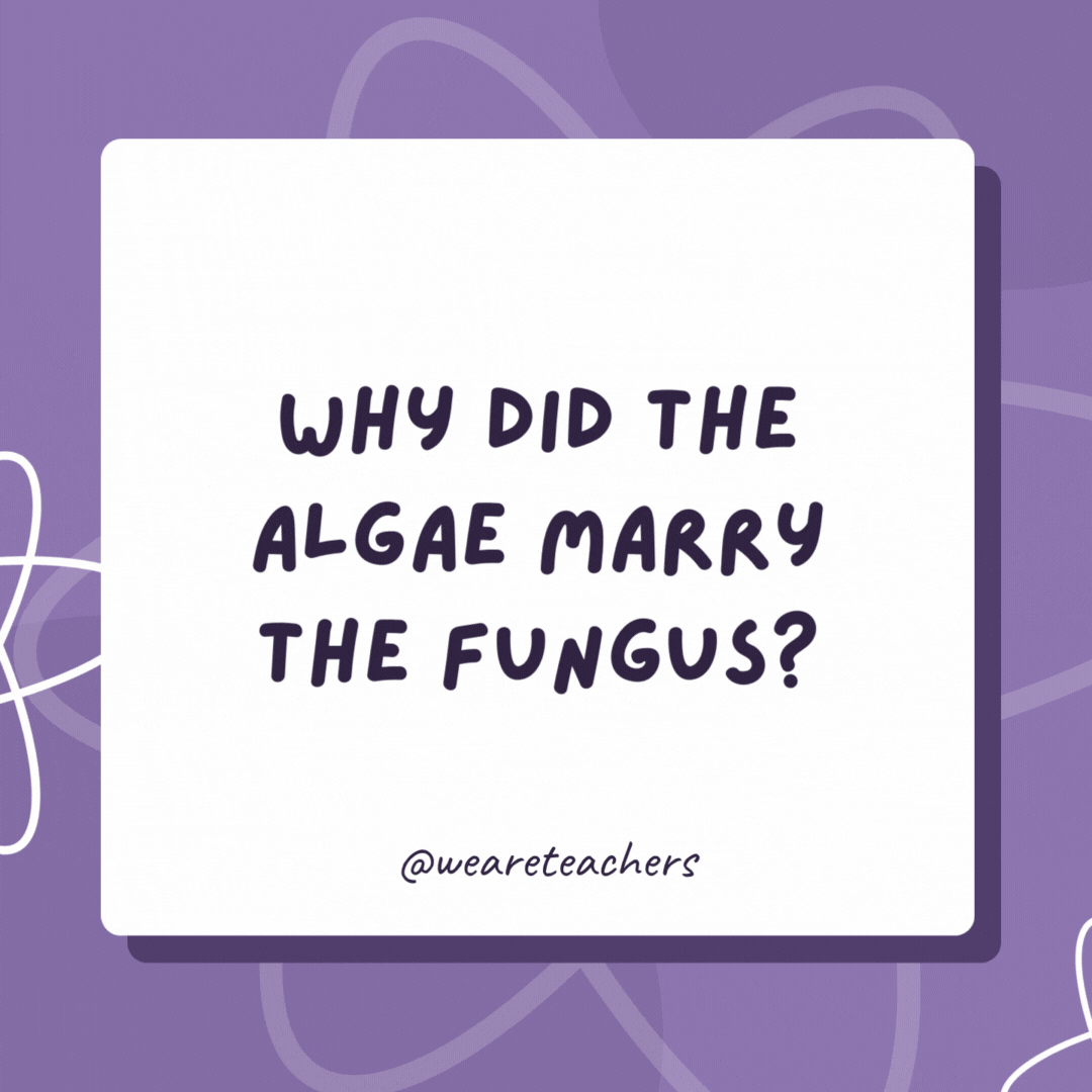 Why did the algae marry the fungus? They took a lichen to each other. Why did the algae marry the fungus?
They took a lichen to each other.- biology jokes