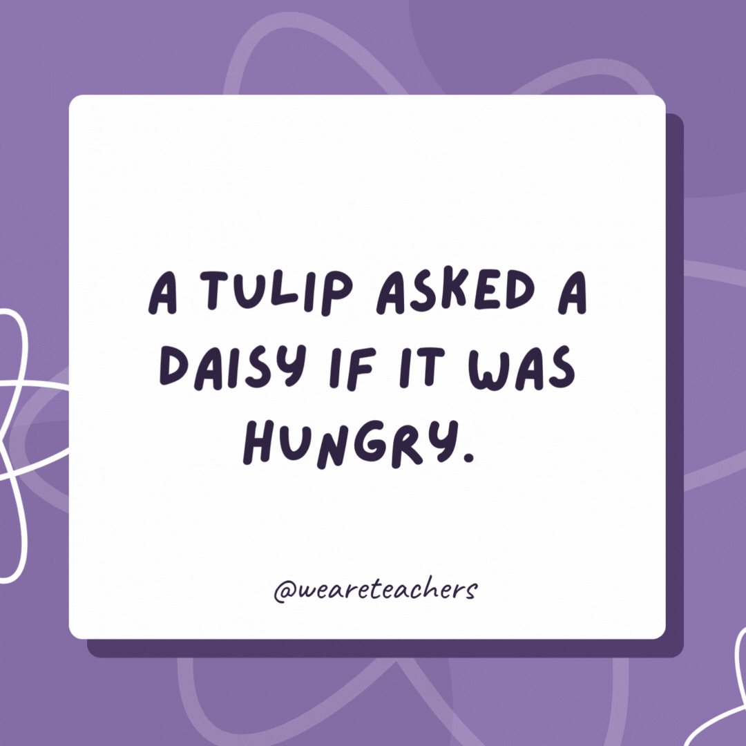 A tulip asked a daisy if it was hungry. The daisy said, “I really could go for a light snack.” A tulip asked a daisy if it was hungry.
The daisy said, “I really could go for a light snack.”- biology jokes