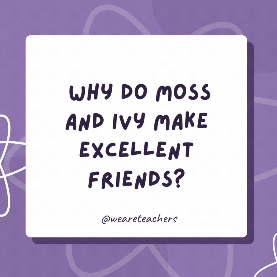 Why do Moss and Ivy make excellent friends? They really grow on you after a while. Why do Moss and Ivy make excellent friends?
They really grow on you after a while.- biology jokes