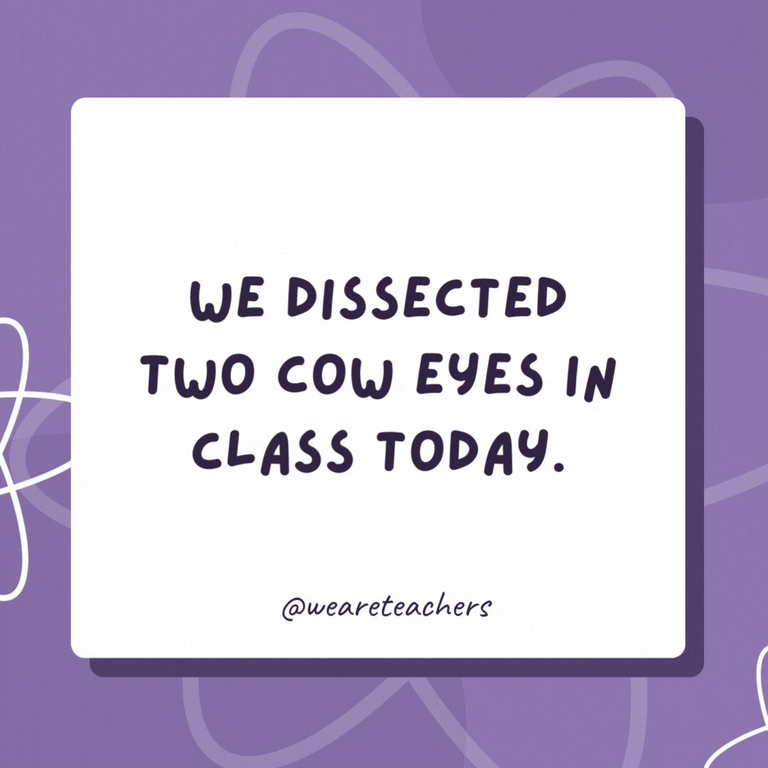 We dissected two cow eyes in class today. The jokes got cornea and cornea! We dissected two cow eyes in class today.
The jokes got cornea and cornea!- biology jokes