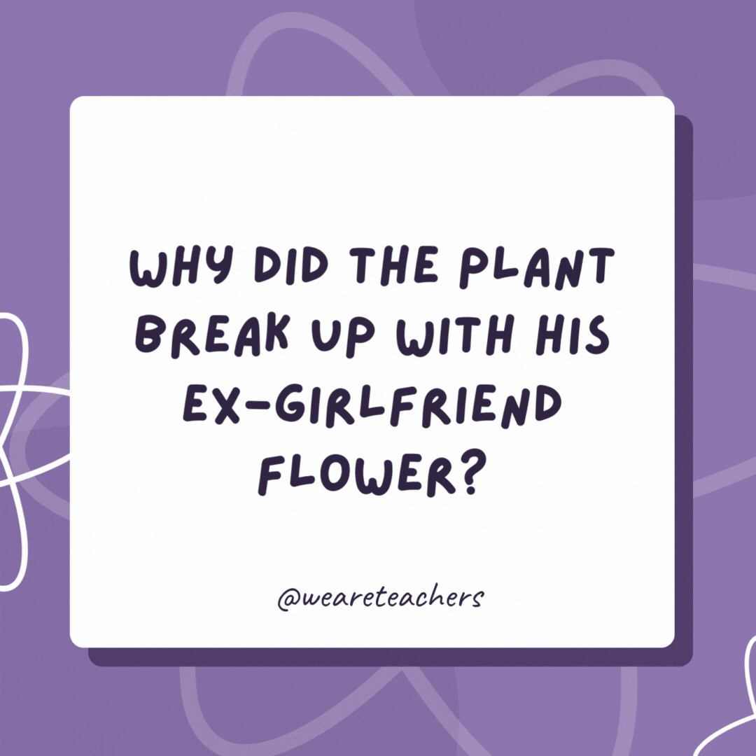 Why did the plant break up with his ex-girlfriend flower? She has a real violet streak. Why did the plant break up with his ex-girlfriend flower?
She has a real violet streak.