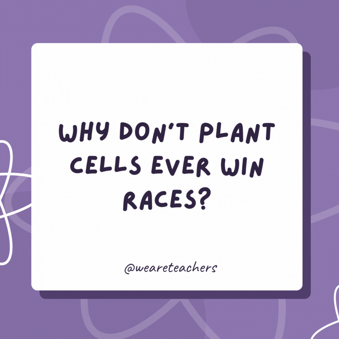 Why don’t plant cells ever win races? Because they’re always rooted to the spot. Why don't plant cells ever win races?
Because they're always rooted to the spot.
