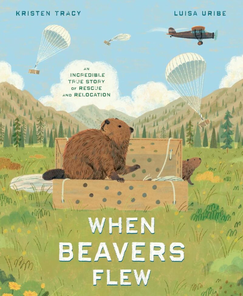 When Beavers Flew When Beavers Flew book cover