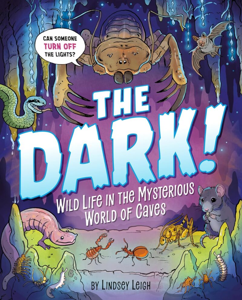 The Dark The Dark book cover