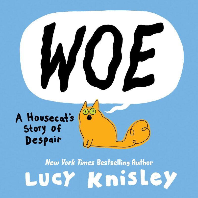 Woe Woe book cover