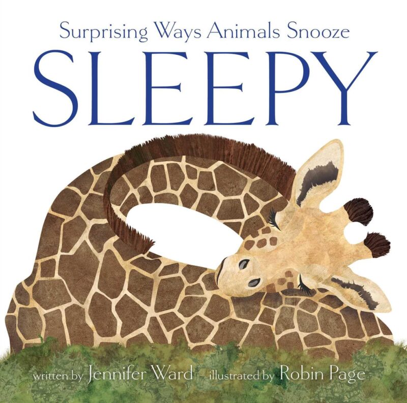 Sleepy Sleepy book cover