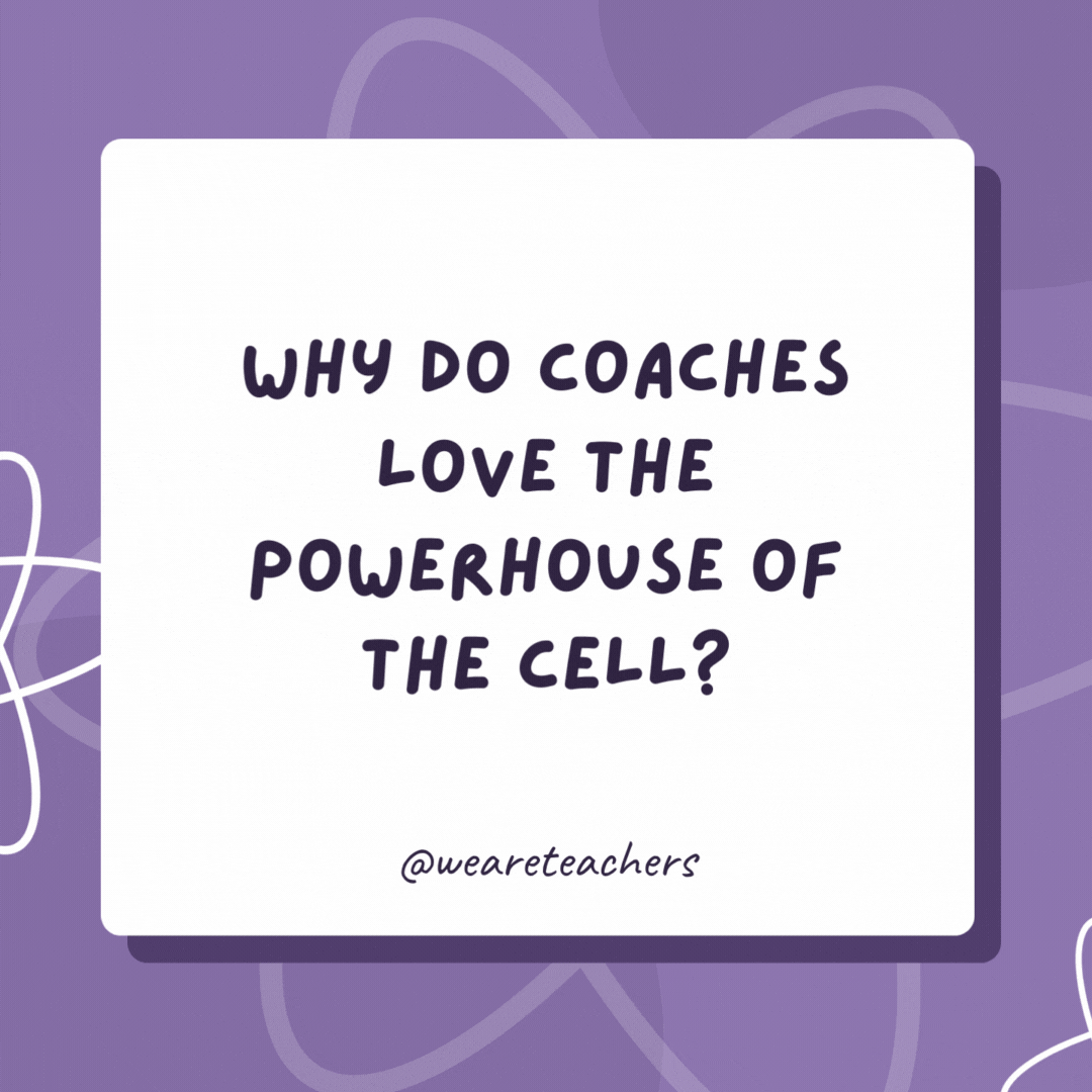 Why do coaches love the powerhouse of the cell? Because mitochondria have a “CHON-do” attitude. Why do coaches love the powerhouse of the cell?
Because mitochondria have a “CHON-do” attitude.