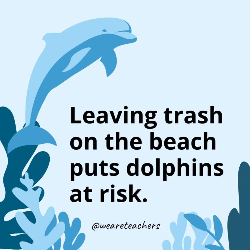 23 Fascinating Dolphin Facts for Kids Leaving trash on the beach puts dolphins at risk.