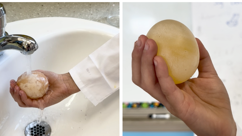 See the results of the experiment.