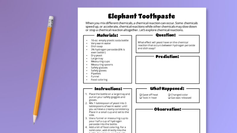 Elephant Toothpaste Worksheet Elephant toothpaste experiment worksheet.
