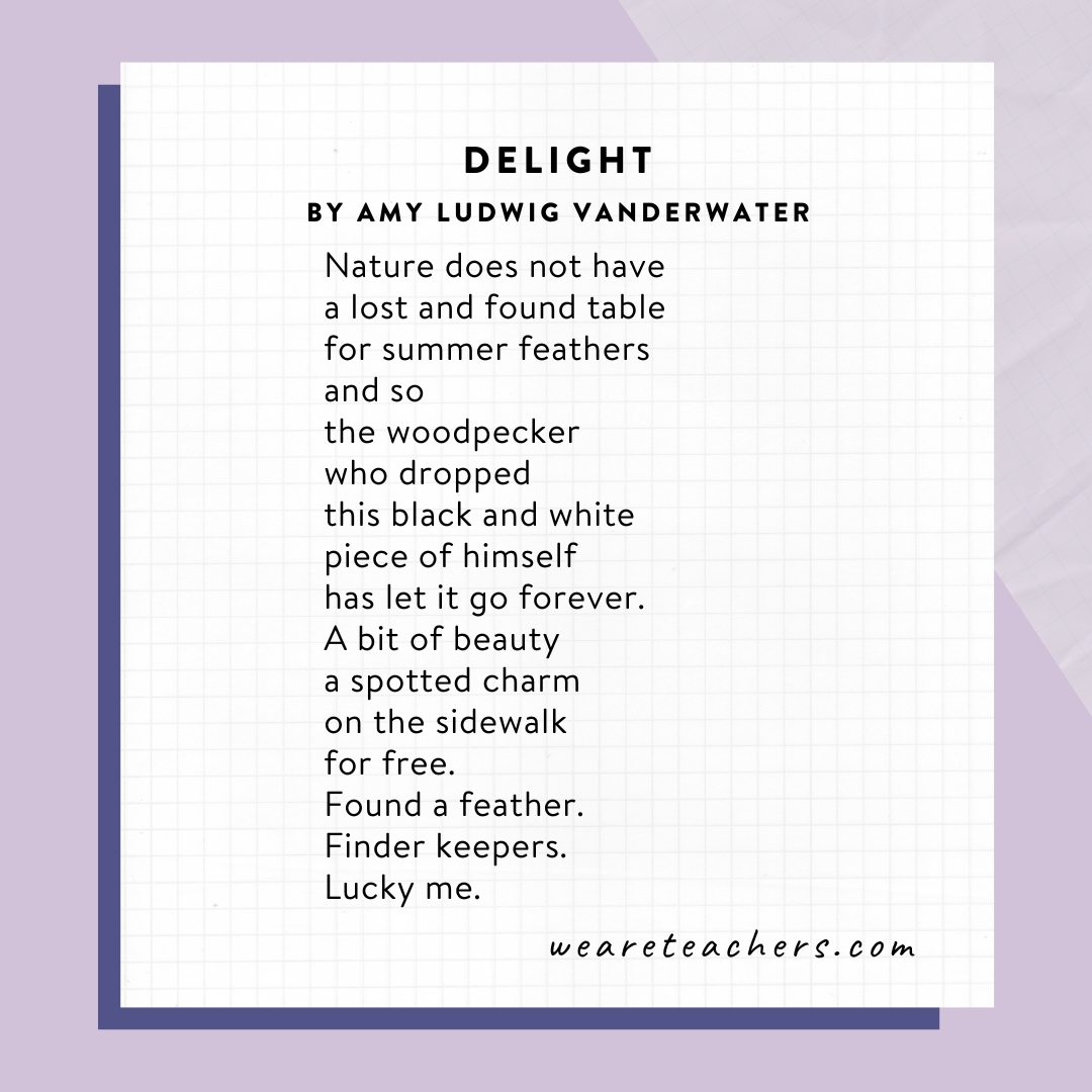 Free-Verse Poems 8 Delight by Amy Ludwig VanDerwater. as an example of free verse poems.