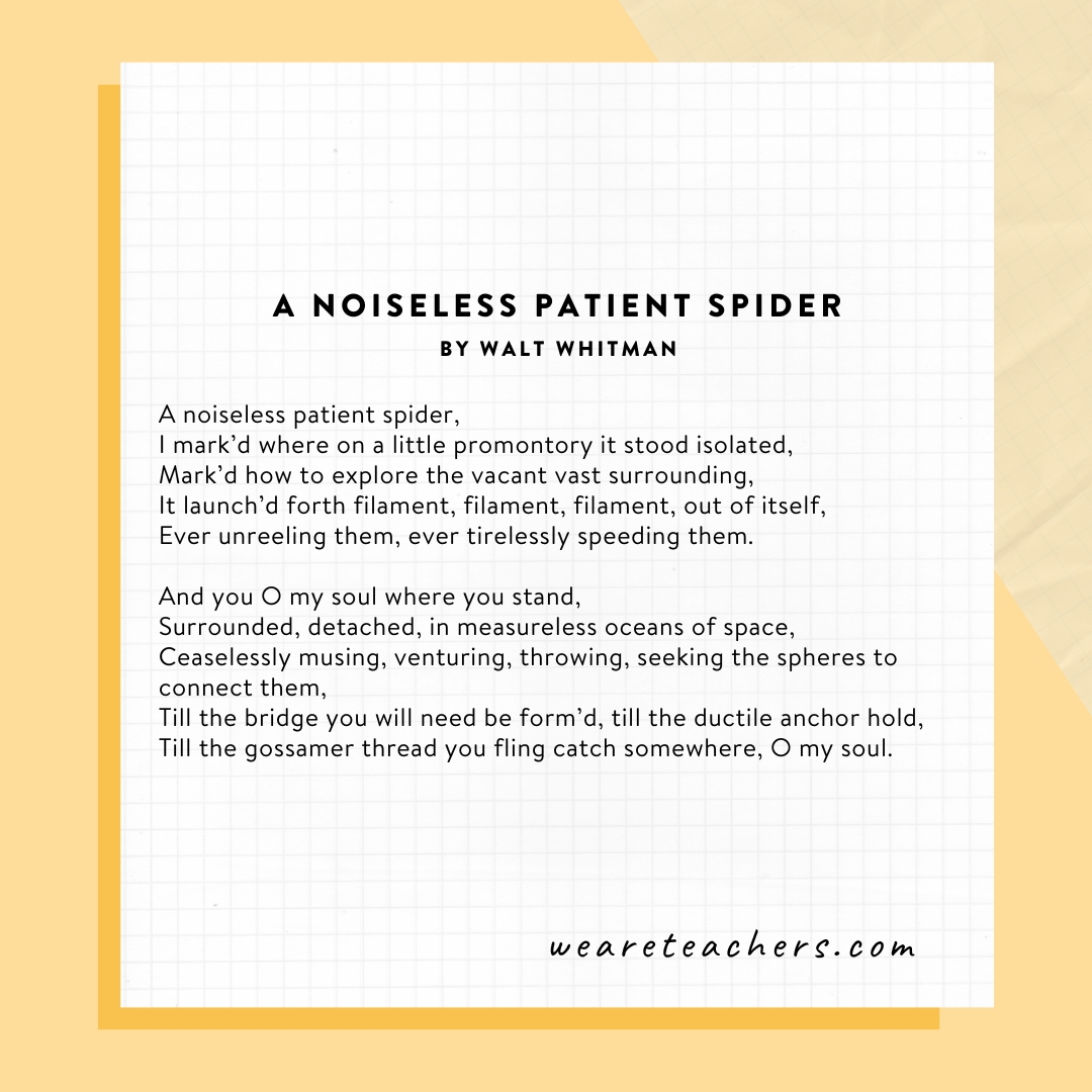 Free-Verse-Poems-9 A Noiseless Patient Spider by Walt Whitman