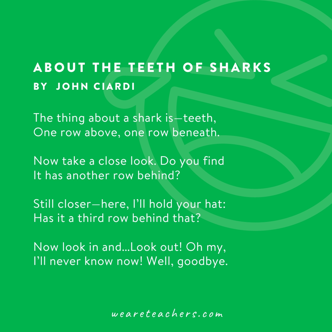Funny Poems 3 A poem called About the Teeth of Sharks by John Ciardi as an example of funny poems.