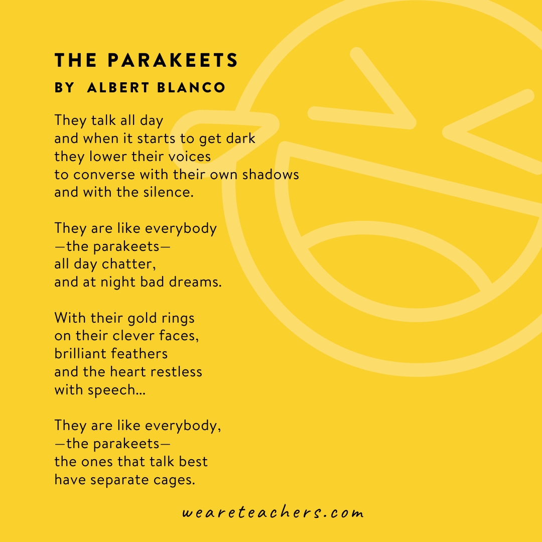 Funny Poems 4 A poem called The Parakeets by Alberto Blanco.