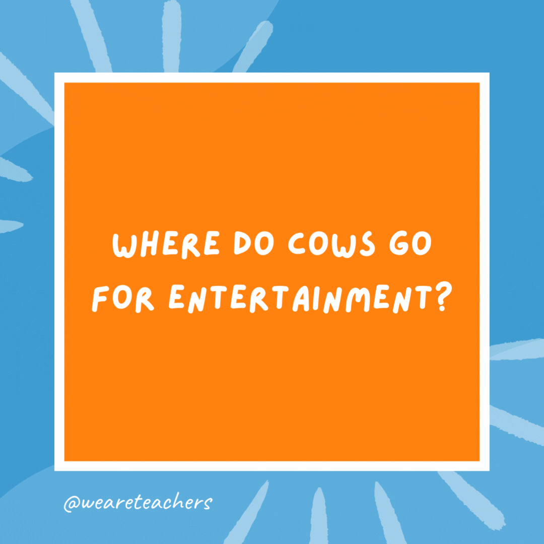 Where do cows go for entertainment? The mooooo-vies! Where do cows go for entertainment?
The mooooo-vies!- kindergarten jokes