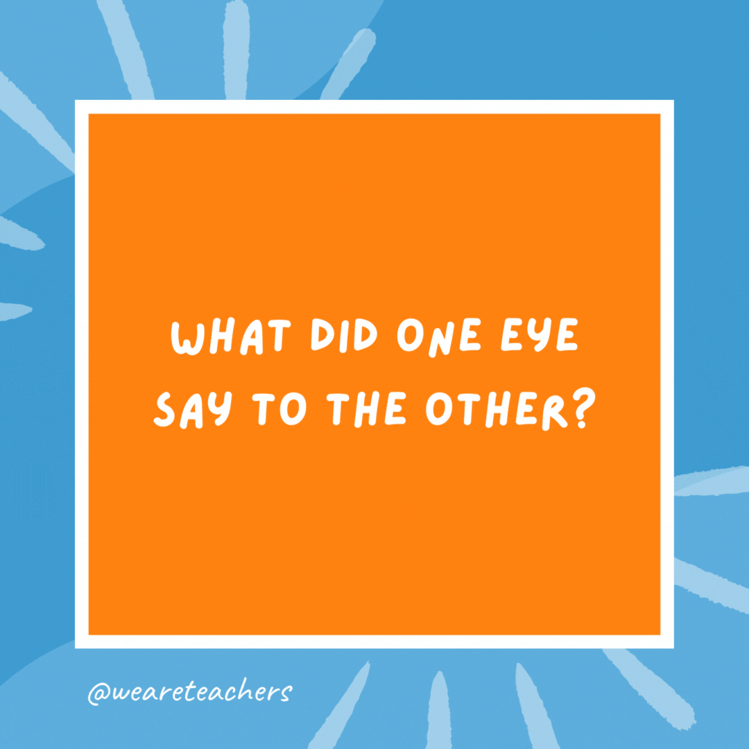 What did one eye say to the other? Don’t look now, but something between us smells. What did one eye say to the other?
Don’t look now, but something between us smells.