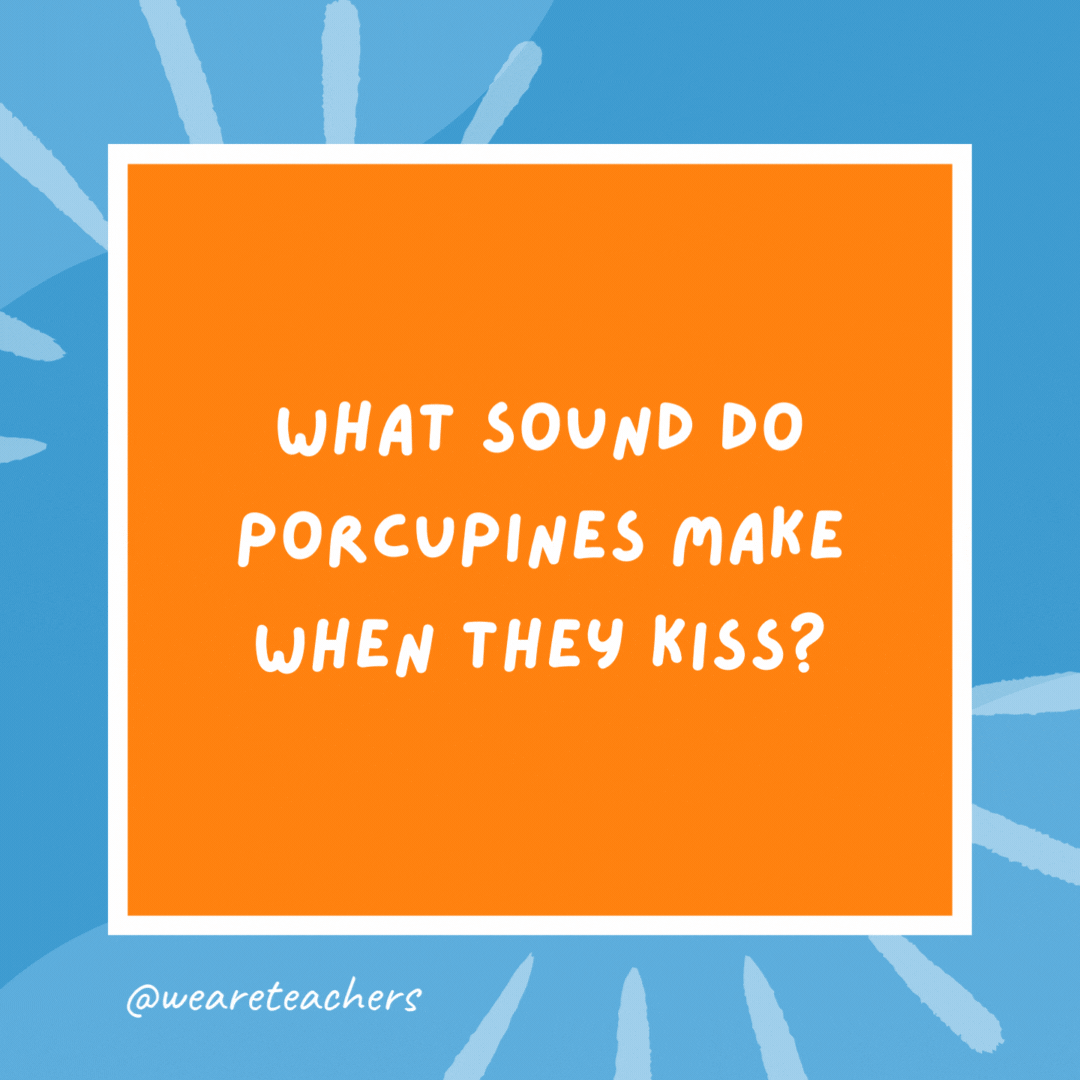 What sound do porcupines make when they kiss? Ouch! What sound do porcupines make when they kiss?
Ouch!- kindergarten jokes
