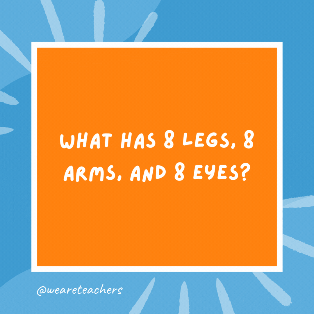 What has 8 legs, 8 arms, and 8 eyes? Eight pirates. What has 8 legs, 8 arms, and 8 eyes?
Eight pirates.- kindergarten jokes