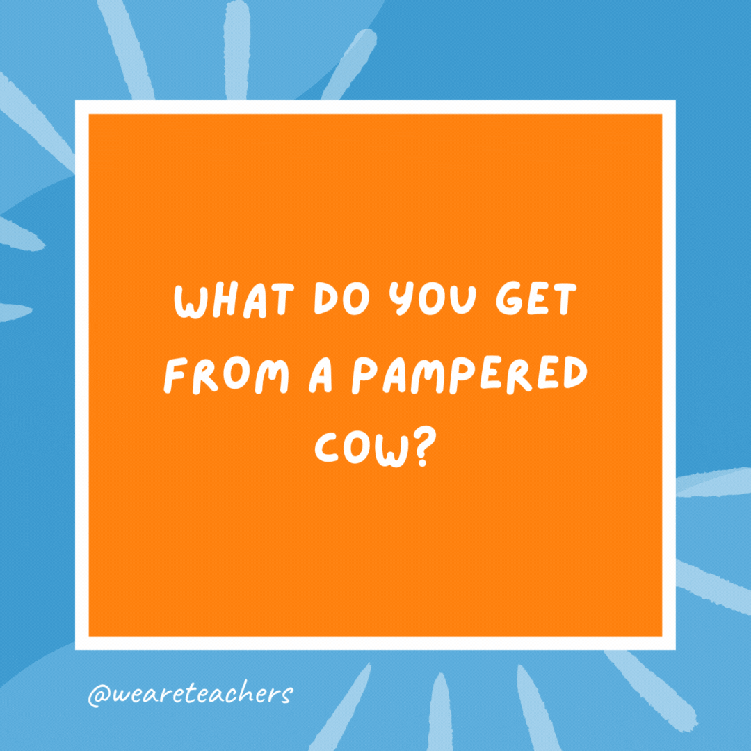 What do you get from a pampered cow? Spoiled milk. What do you get from a pampered cow?
Spoiled milk.- kindergarten jokes