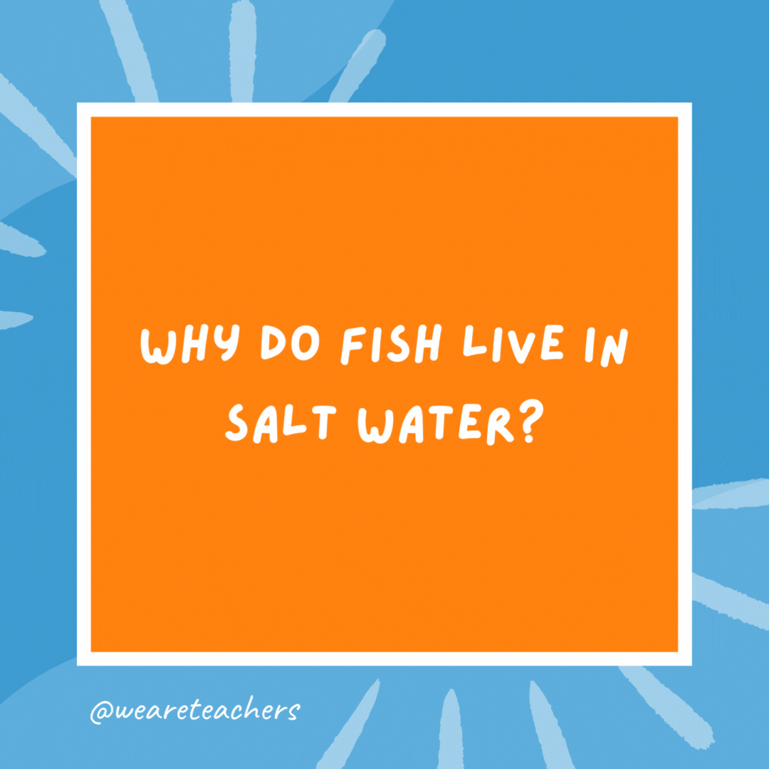 Why do fish live in salt water? Because pepper makes them sneeze. Why do fish live in salt water?
Because pepper makes them sneeze.- kindergarten jokes