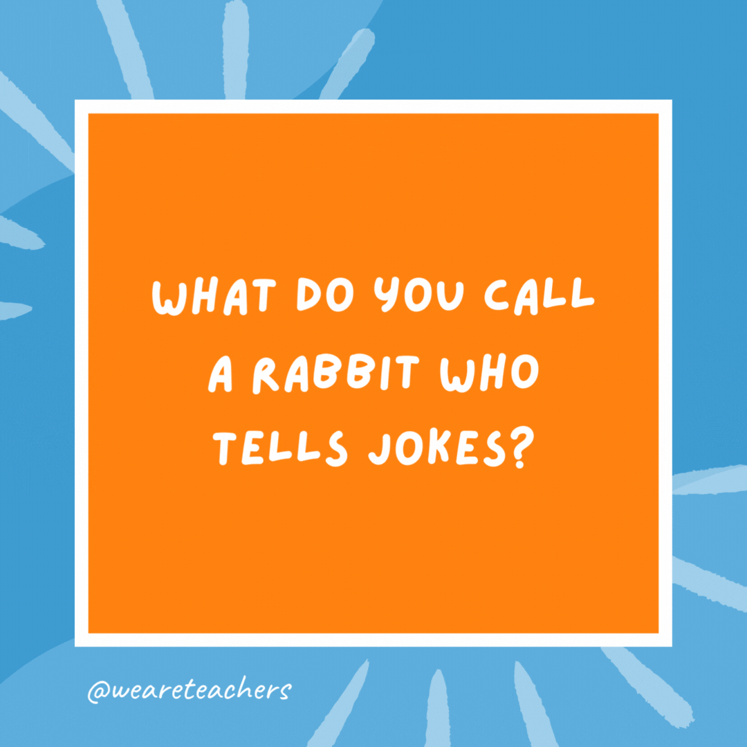 What do you call a rabbit who tells jokes? A funny bunny. What do you call a rabbit who tells jokes?
A funny bunny.- kindergarten jokes