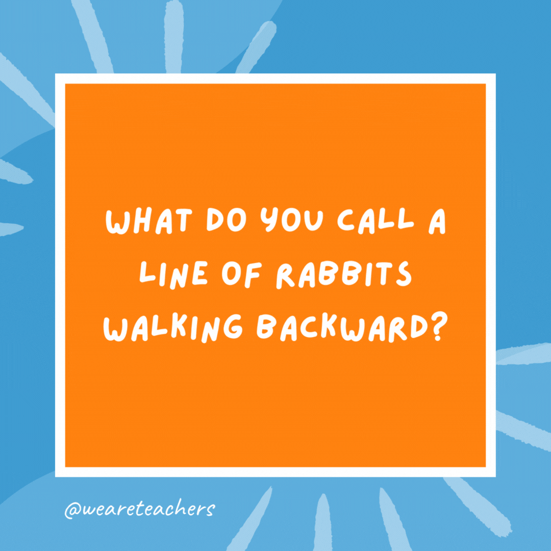 What do you call a line of rabbits walking backward? A receding hareline. What do you call a line of rabbits walking backward?
A receding hareline.
