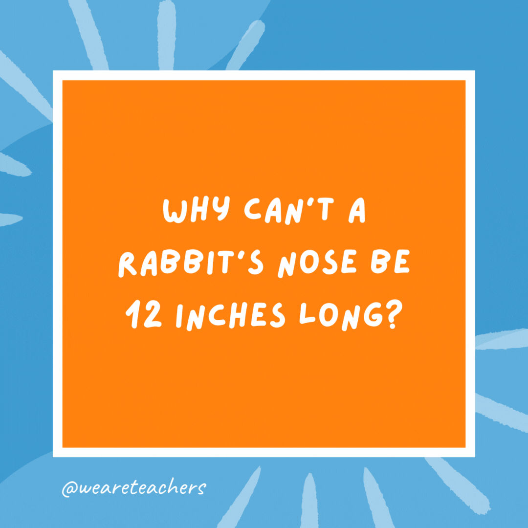 Why can’t a rabbit’s nose be 12 inches long? Because then it would be a foot. Why can’t a rabbit’s nose be 12 inches long?
Because then it would be a foot.- kindergarten jokes
