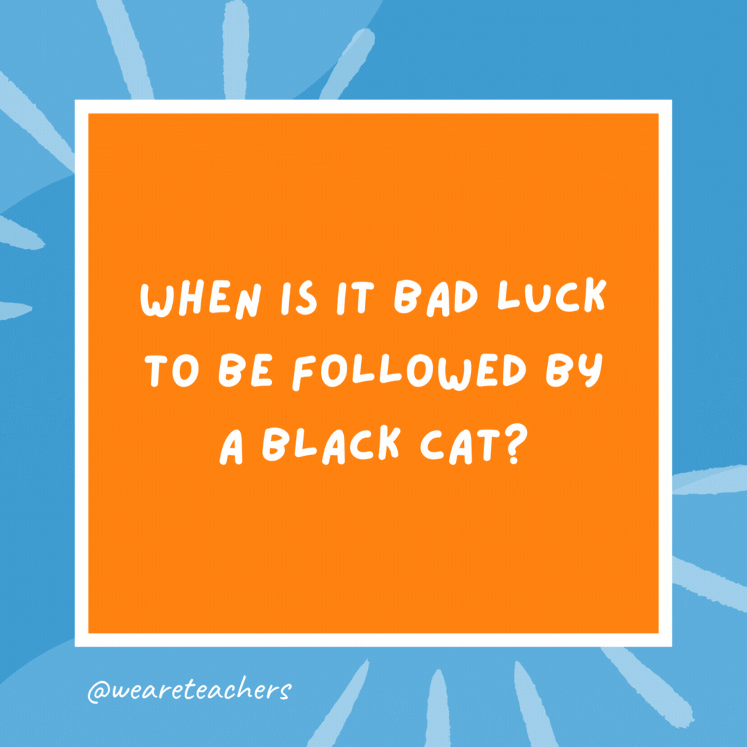 When is it bad luck to be followed by a black cat? When you’re a mouse. When is it bad luck to be followed by a black cat?
When you’re a mouse.- kindergarten jokes