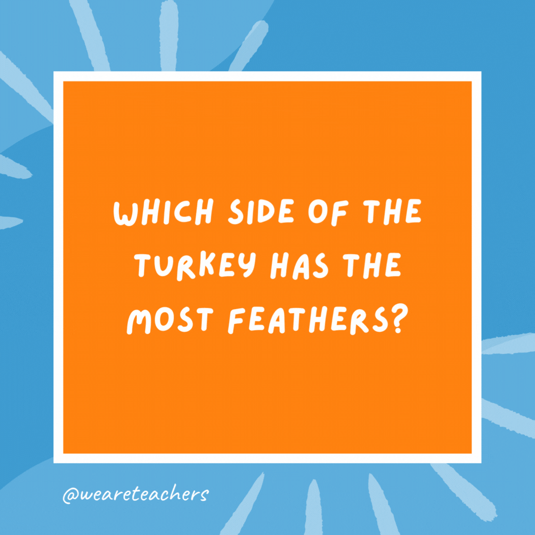 Which side of the turkey has the most feathers? The outside. Which side of the turkey has the most feathers?
The outside.