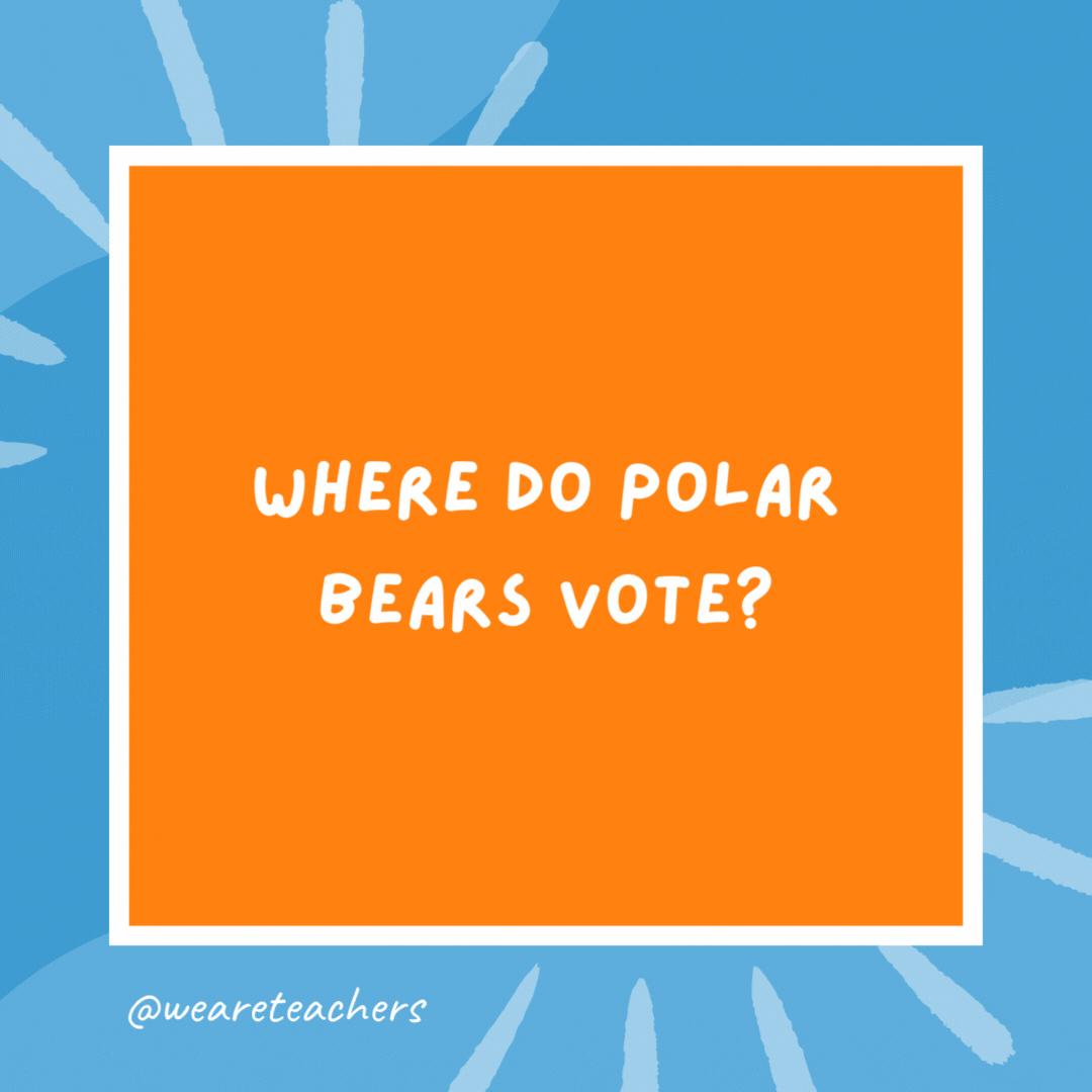 Where do polar bears vote? The North Poll. Where do polar bears vote?
The North Poll.- kindergarten jokes
