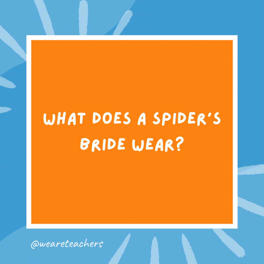 What does a spider’s bride wear? A webbing dress. What does a spider’s bride wear?
A webbing dress.