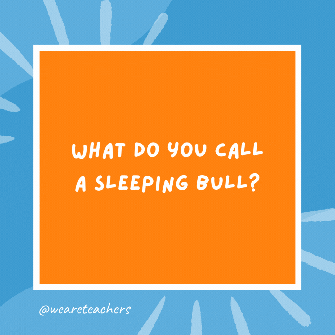 What do you call a sleeping bull? A bull-dozer. What do you call a sleeping bull?
A bull-dozer.- kindergarten jokes